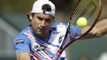 David Ferrer devuelve una bola del ruso Teymuraz Gabashvili