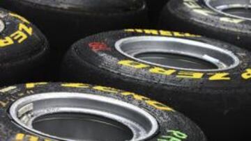 <b>UNO MÁS. </b>En 2012 puede que haya un juego más de blandos.