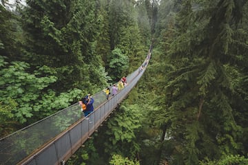 El Cliffwalk se inauguró en 2011 con 64,9 metros de puente colgando de un acantilado a unos 70 metros sobre un cañón. Está anclado a las paredes del acantilado para poder soportar algo más de 43.000 kilos de peso. Algunos de sus tramos cuentan con pasarelas con fondo de cristal. 