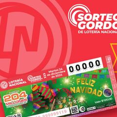 Comprobar Sorteo Gordo 223 de Navidad 2024: buscador de números y cachitos premiados