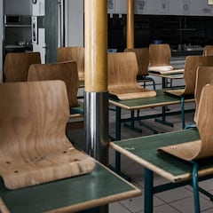 Colegios y universidades: las clases no presenciales continuarán en junio y julio