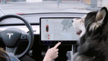 El terrible fallo del modo Perro en los coches Tesla que ya está en reparación