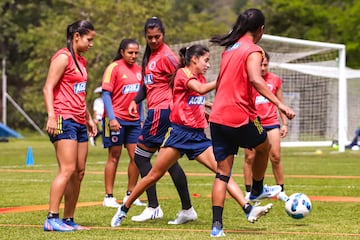 La Selección Colombia Femenina dejó atrás la celebración por clasificar al Mundial y los Juegos Olímpicos y se enfoca en la final de la Copa América ante Brasil este sábado en el Alfonso López de Bucaramanga.