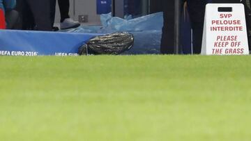 FFF chief: pitches at Euro 2016 grounds "could be better"