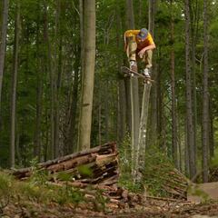Wheels on Woods trae la belleza del downhill y el skate a los bosques de Austria