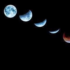 Calendario lunar noviembre 2022: Fases lunares, eclipse total de Luna, lluvia de estrellas y conjunciones