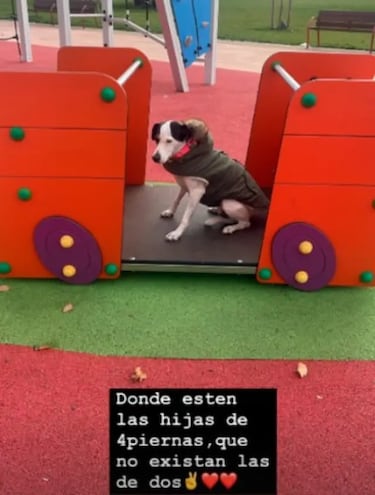 Maite Galdeano sentencia a Sofía Suescun: “Donde estén las hijas de cuatro piernas, que no existan las de dos”