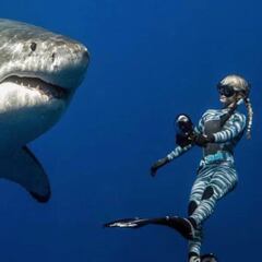 "Han convertido al tiburón blanco en algo grande y malo; y es grande, pero no malo"