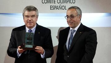 El COI pide al COE que vigile las garant¨ªas hacia Kosovo