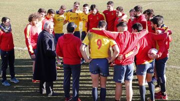 España preparó con Irlanda su vuelta a las Series Mundiales