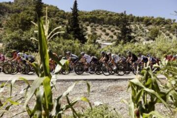 El pelotón saliendo esta mañana de la localidad jienense de Torrredelcampo al inicio de la décima etapa de la Vuelta Ciclista a España-2013, que finalizará el inédito Alto de Hazallanas en la municipio granadino de Güejar Sierra , con un recorrido total de 186,8 kilómetros.