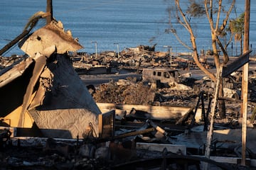 Imagen devastadora del barrio residencial Palisades que ha quedado totalmente destruido, por los incendios que  han arrasado ms de 15.000 hectreas en Los ?ngeles.