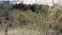 El Atlético planea llevar su estadio a Alcorcón