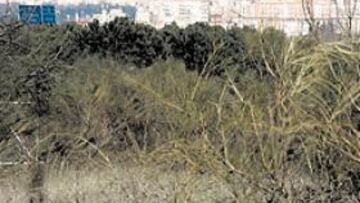 <b>LA VENTA DE LA RUBIA. </b>La nueva Ciudad Deportiva del Atlético estará en estos terrenos que, pese a que Madrid se ve muy cerca, pertenecen al municipio de Alcorcón.