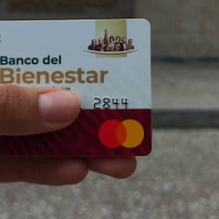 Quiénes cobrarán 8 mil 480 pesos en noviembre del 2025: esta beca mensual ayuda a miles de jóvenes