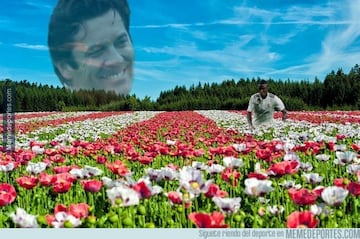 Recopilación de los mejores memes de internet sobre el partido entre el Real Madrid y el Real Valladolid perteneciente a la jornada 11 de la Liga Santander.