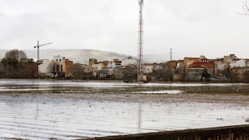 Cultivos anegados tras las inundaciones producidas por el desbordamiento del río Genil. A 9 de Febrero de 2026, en Huétor Tájar, Granada (Andalucía, España). La localidad de Húetor Tájar, en la comarca granadina de Loja, ha quedado convertida en una isla tras el desbordamiento del río Genil provocado por las fuertes lluvias de la borrasca Leonardo. Por el momento, Andalucía sigue en situación operativa 2 por las sucesivas borrascas, que han dejado desde el 27 de enero más de 10.925 incidencias y el desalojo de miles de personas. Además, la Unidad Militar de Emergencias (UME) ha desplegado en la comunidad un total de 500 efectivos y 200 medios que están actuando en las provincias de Málaga, Sevilla, Jaén y Cádiz.
09 FEBRERO 2026
Álex Cámara / Europa Press
09/02/2026