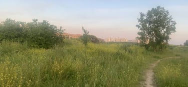 El virus pone en pausa la ciudad deportiva de Pinar de Jal¨®n