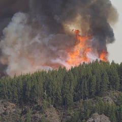 ¿Cómo sigue el incendio en Tenerife, cuántas hectáreas se han quemado y cuáles son los municipios afectados?