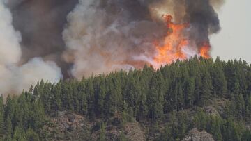 El incendio forestal, a 17 de agosto de 2023, en La Orotava, Tenerife, Islas Canarias (España). El Ayuntamiento de La Orotava ha confirmado que se ha tomado la decisión de evacuar de manera preventiva ante la evolución del incendio el núcleo poblacional de Aguamansa, además de Pinolere y los altos de La Florida. Aguamansa es, actualmente, uno de los puntos más activos del incendio, que ya ha afectado cerca de 5.000 hectáreas. La Orotava está en alerta debido a que los focos están cerca de las viviendas, y el cambio de viento que puede haber esta noche empeoraría la situación y provocaría que las llamas avancen de forma más rápida que por la tarde, cuando la alta cantidad de humo ha hecho que las llamas avanzaran de forma muy lenta.
17 AGOSTO 2023;FUEGO;INCENDIO;HECTÁREAS;LLAMAS;DESASTRE
Europa Press
17/08/2023