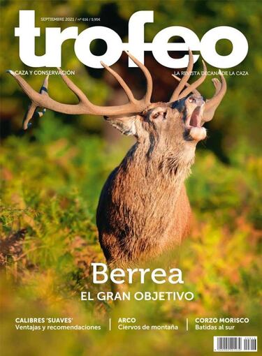 ?C¨®mo se llama la pel¨ªcula? La berrea