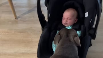 Instagram (tommybluestaff)