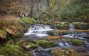 El agua, fuente de vida, nos llama poderosamente la atención, nos atrae, y más cuando por la climatología o por la orografía nos muestra toda su fuerza y poder y se convierte en belleza. Esto es lo que nos enseñan las cascadas de Oneta, al menos dos de las tres existentes. Desde el pueblo de Oneta, y en un brevísimo paseo por tierras de prados de poco más de un kilómetro, llegaremos a la parte alta de la primera, donde el río ha excavado en la roca un canal en el que se cuela hasta llegar al borde del precipicio, por donde se lanza abajo. Dando un pequeño rodeo podemos ver la cola, de unos veinte metros de altura, blanca, estruendosa, bella, en medio del bosque. Poco más abajo, un antiguo molino. Seguimos caminando y llegamos a la segunda, aún más recogida si cabe, algo más abierta, metida entre más vegetación e igualmente bella. Entremedias, un paseo por el interior del bosque, donde en primavera destacan los diferentes narcisos que llenan de amarillo el paseo.