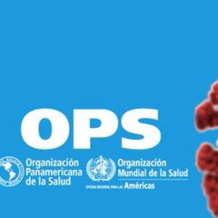 ¿Cómo se contagia el coronavirus?