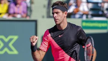El vendaval Del Potro arrasa a Nishikori y ya está en octavos