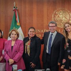 Senado de la República: quiénes son las cuatro mujeres que aspiran a ocupar el cargo de presidente