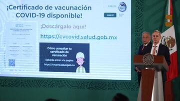 Certificado de Vacunación: en qué estados será obligatorio tramitarlo