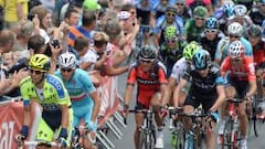 Asoman los gallos del Tour