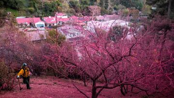 Esta es la sustancia roja que utilizan para apagar los incendios en Los Ángeles