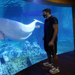 Felipe Reyes ya es único en la historia del Real Madrid