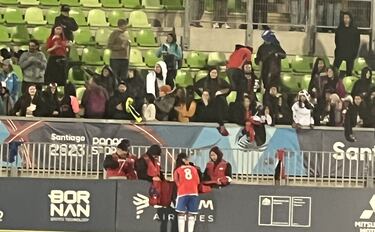 El curioso diálogo entre Endler y una hincha: “No puedo, no hay más”