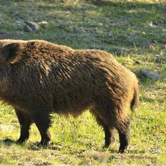 Luces, cámaras y acción