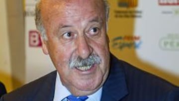 El seleccionador nacional de Fútbol, Vicente del Bosque, durante la rueda de prensa que ha ofrecido momentos antes de dar comienzo la Gala del Deporte Balear, celebrada esta noche en Palma. EFE/Monserrat T. Diez