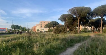 El virus pone en pausa la ciudad deportiva de Pinar de Jal¨®n