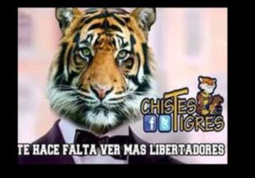 Los Memes no se hicieron esperar tras el pase de Tigres a la Final de la Copa Libertadores.