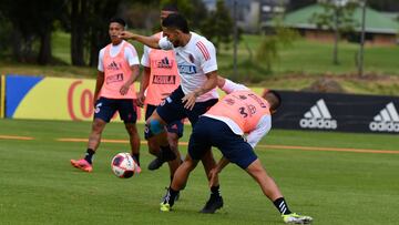 Selección Colombia trabaja con 25 de los 26 convocados en Bogotá