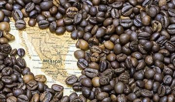 En 2016, nuestro país fue el undécimo productor de café en el orbe, con 3 millones 600 mil costales. El Estado de Veracruz es el alma cafetalera de un país que vive el fútbol con gran intensidad a pesar de los magros resultados de su selección nacional. Eso sí, su máximo logro en deporte de conjunto provino, precisamente, del balompié, con el oro en los Juegos de Londres. El béisbol también mueve masas en el país, sobre todo en las costas y en el norte.