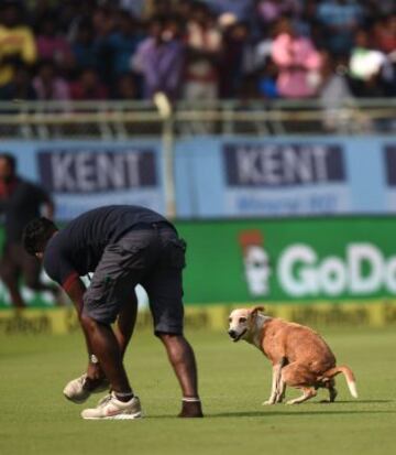 Curiosa imagen en el estadio de cricket de la ciudad  de Vishakhapatnam en la India.