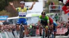 Alaphillipe gana y Roglic distancia a los rivales