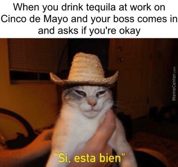 Los mejores memes sobre el 'Cinco de Mayo'