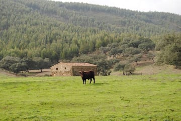 &quot;Como entres, va a haber m&aacute;s que palabras&quot;