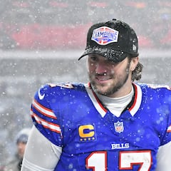 Which teams have already qualified for the 2024-25 NFL playoffs?