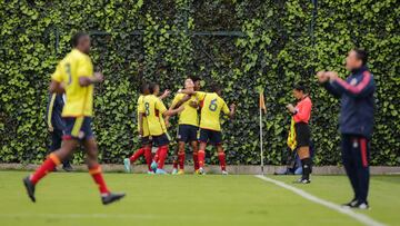 Colombia en el Sudamericano sub 20: equipo y jugadores