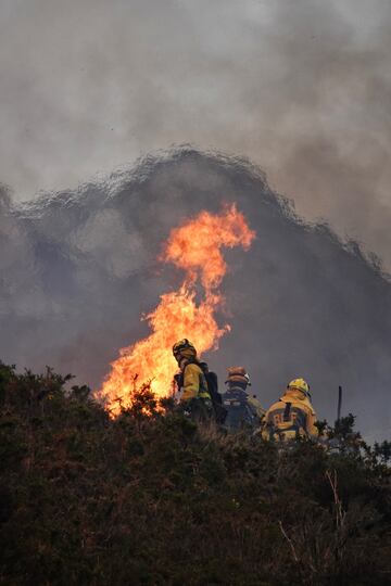 Bomberos de Asturias trabajan para extinguir las llamas en un incendio forestal en Toraño, Asturias (España). El Gobierno regional activó el pasado jueves por la noche  el Plan de Incendios Forestales del Principado de Asturias (INFOPA).