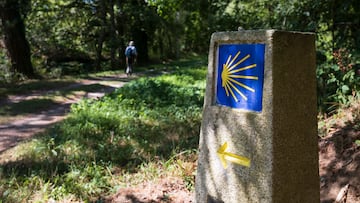Durante siglos los peregrinos han usado estos caminos para llegar a Santiago de Compostela, ciudad donde está enterrado el apóstol. Sus rutas beneficiaron el comercio y el intercambio entre culturas. Estos caminos albergan 1.800 edificios de interés histórico y cientos de increíbles parajes naturales.