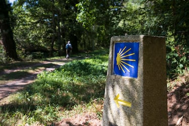 Durante siglos los peregrinos han usado estos caminos para llegar a Santiago de Compostela, ciudad donde está enterrado el apóstol. Sus rutas beneficiaron el comercio y el intercambio entre culturas. Estos caminos albergan 1.800 edificios de interés histórico y cientos de increíbles parajes naturales.